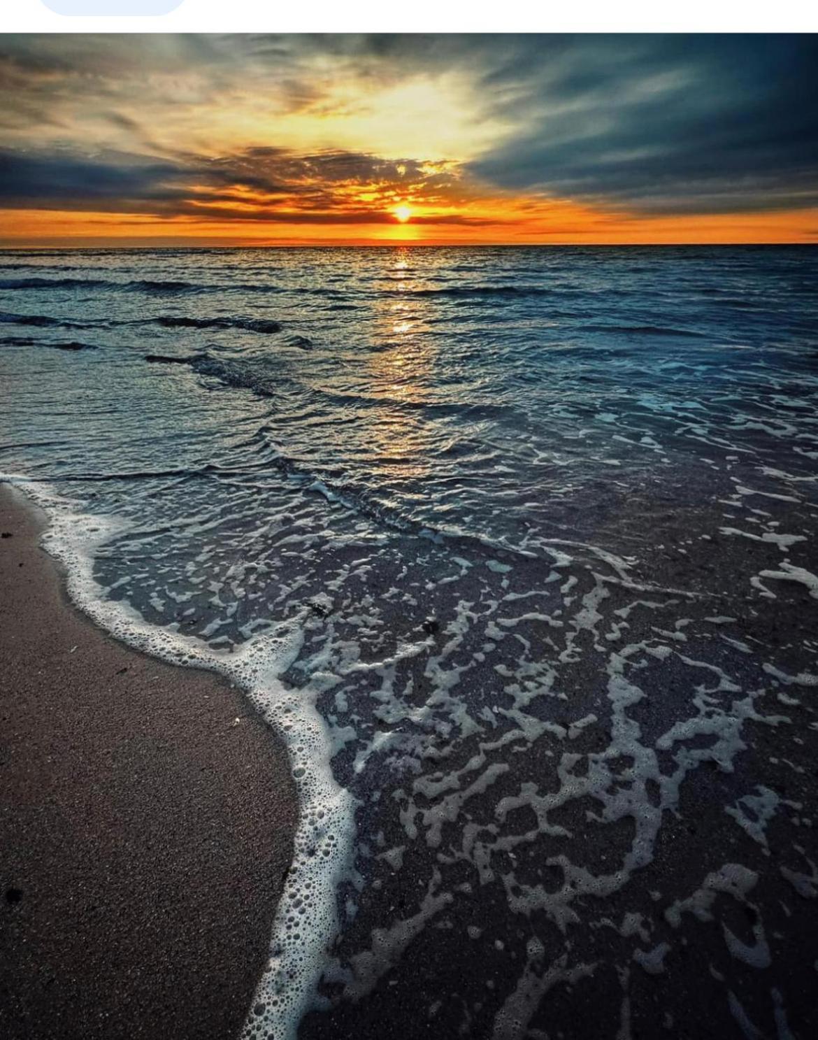 Catalina Summerland Apartaments Mamaia Nord Dış mekan fotoğraf